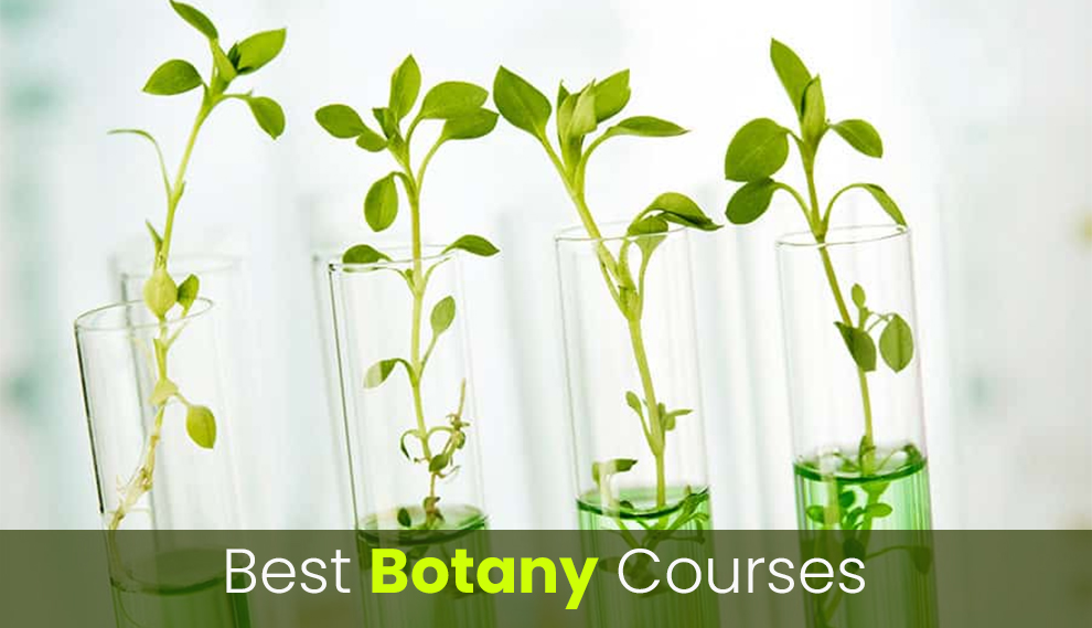 online phd programs in botany